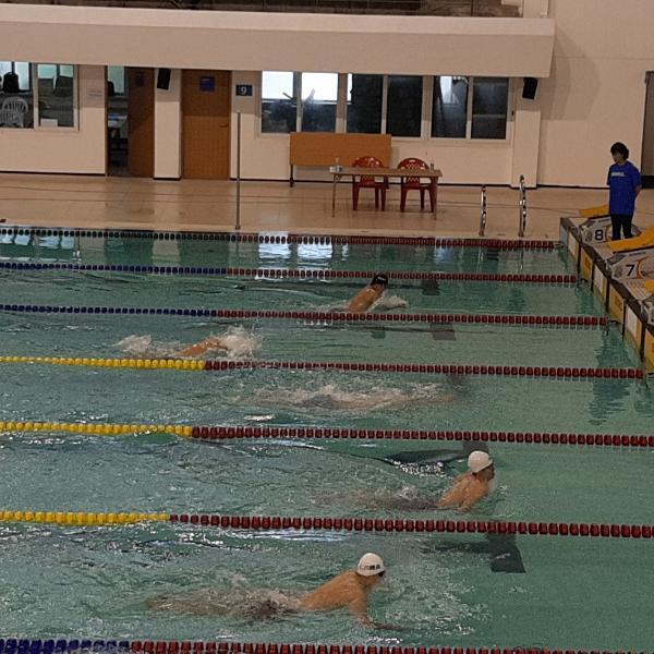 제14회 제주 한라배 전국수영대회 활동 모습